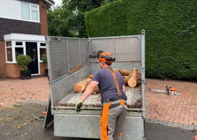 Team member loading cut logs onto a trailer